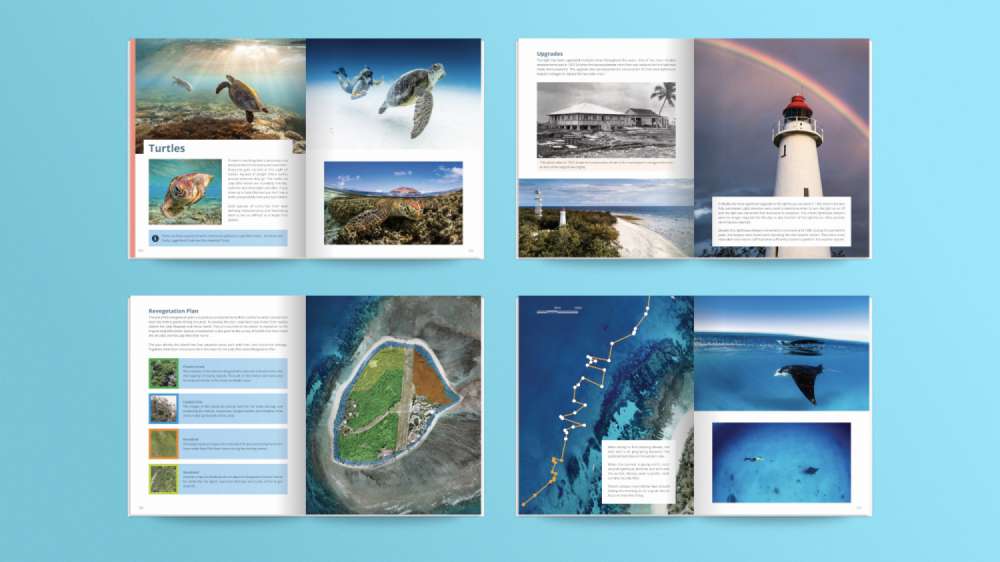 Example pages inside The Visual Guide to Lady Elliot Island