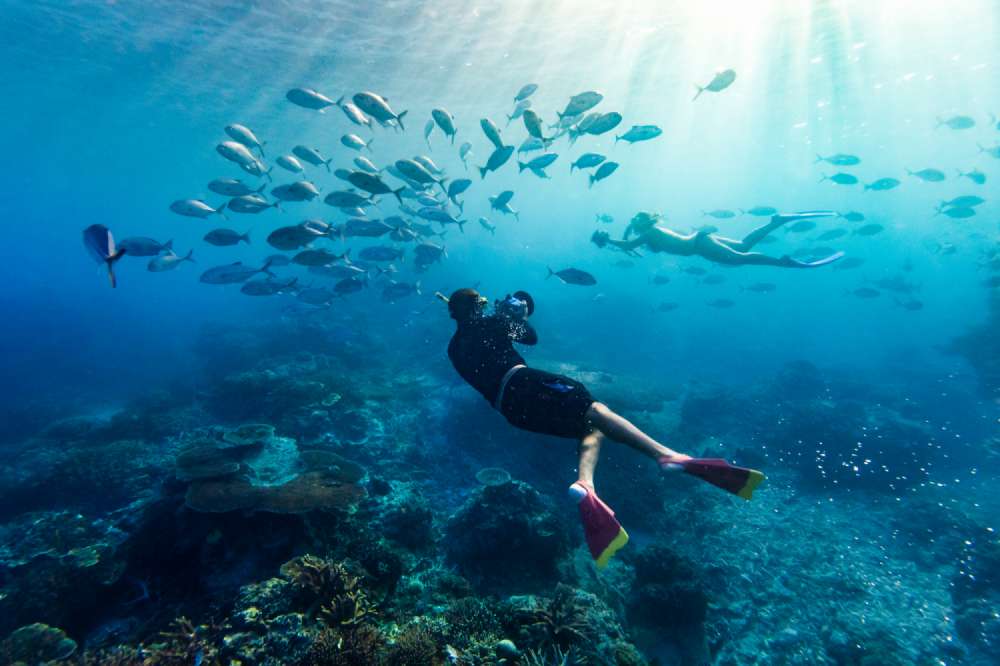 Sean Scott Photographing Underwater on Lady Elliot Island