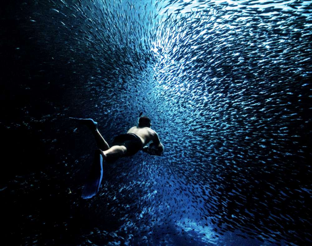 A snorkeller swims through a backlit school of fish inside a cave.