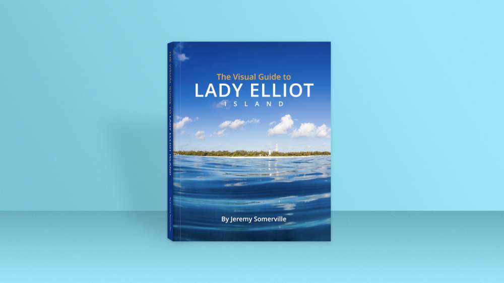 The Visual Guide to Lady Elliot Island - Book by Jeremy Somerville